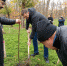 В Новочеркасске посадили 50 лип в парке микрорайона Соцгород - RuffNews.Ru