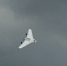 В Ростовской области губернатор сообщил об уничтожении двух БПЛА самолетного типа 11 января - Газета Новочеркасские ведомости