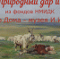 Анонс! Выставка «Природы дар и назначенье» - Музей истории Донского казачества