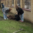 5b02fe98993c9ebacf62eba6e3176456 - Tuzlovgrad.Ru