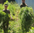 a158542102bcd1d58663f26ef7a9e0c7 - Tuzlovgrad.Ru