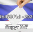 Выборы в новочеркасскую городскую Думу, округ 7 - Tuzlovgrad.Ru
