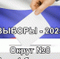 Выборы в новочеркасскую городскую Думу, округ 8 - Tuzlovgrad.Ru