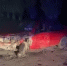 В Новочеркасске в жестком ДТП с «ВАЗом» погиб 20-летний парень - DonDay-Novocherkassk.Ru
