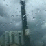 Синоптики обещают дождь в ростовской области 8 января - DonDay-Novocherkassk.Ru