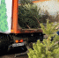В Новочеркасске стартовала ежегодная акция Ёлочный круговорот - Tuzlovgrad.Ru